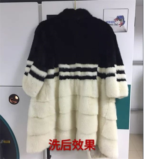 第26期：黑白配貂皮可以這樣洗？